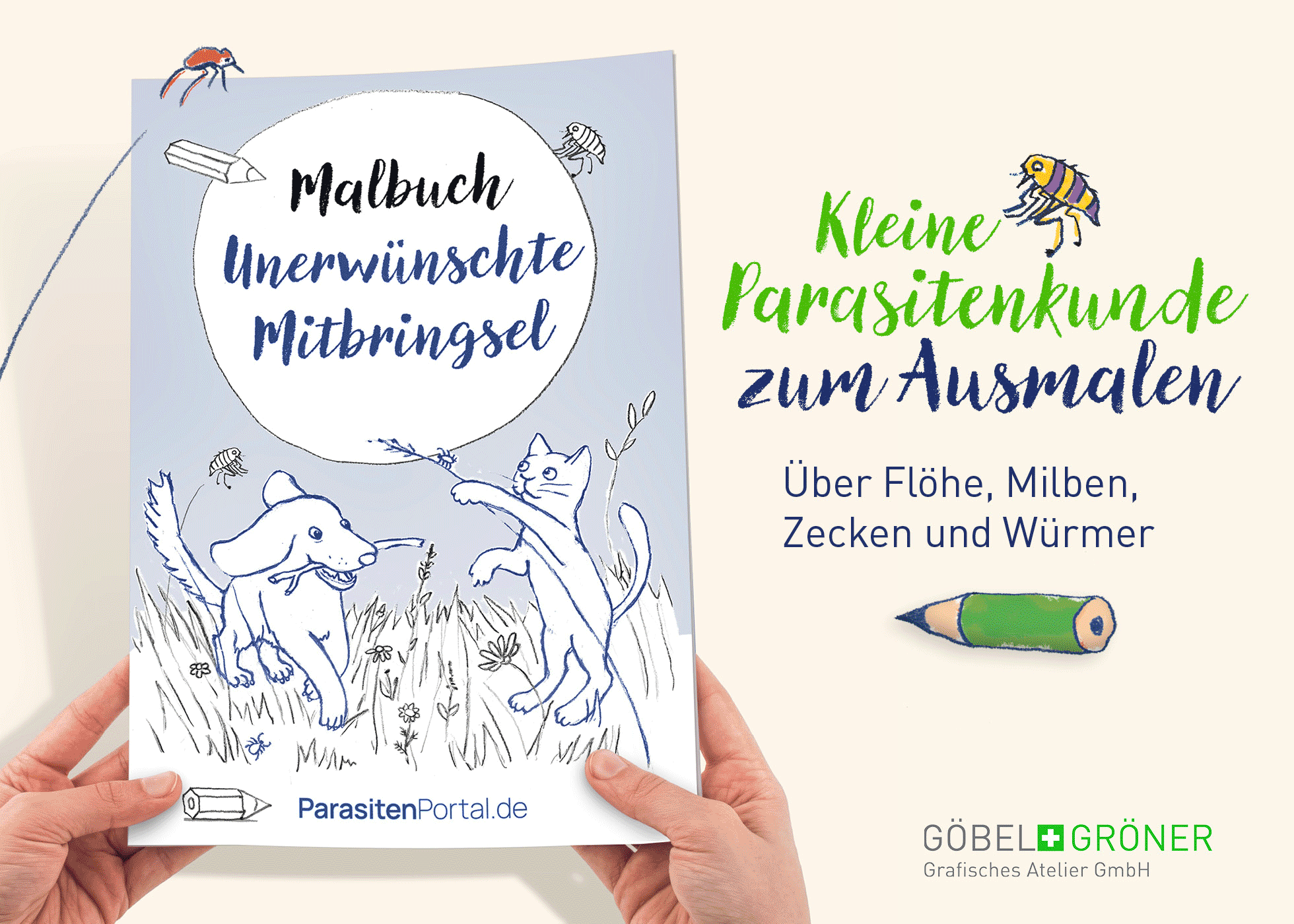 Parasitenmalbuch für Boehringer Ingelheim illustriert von Karoline Becker